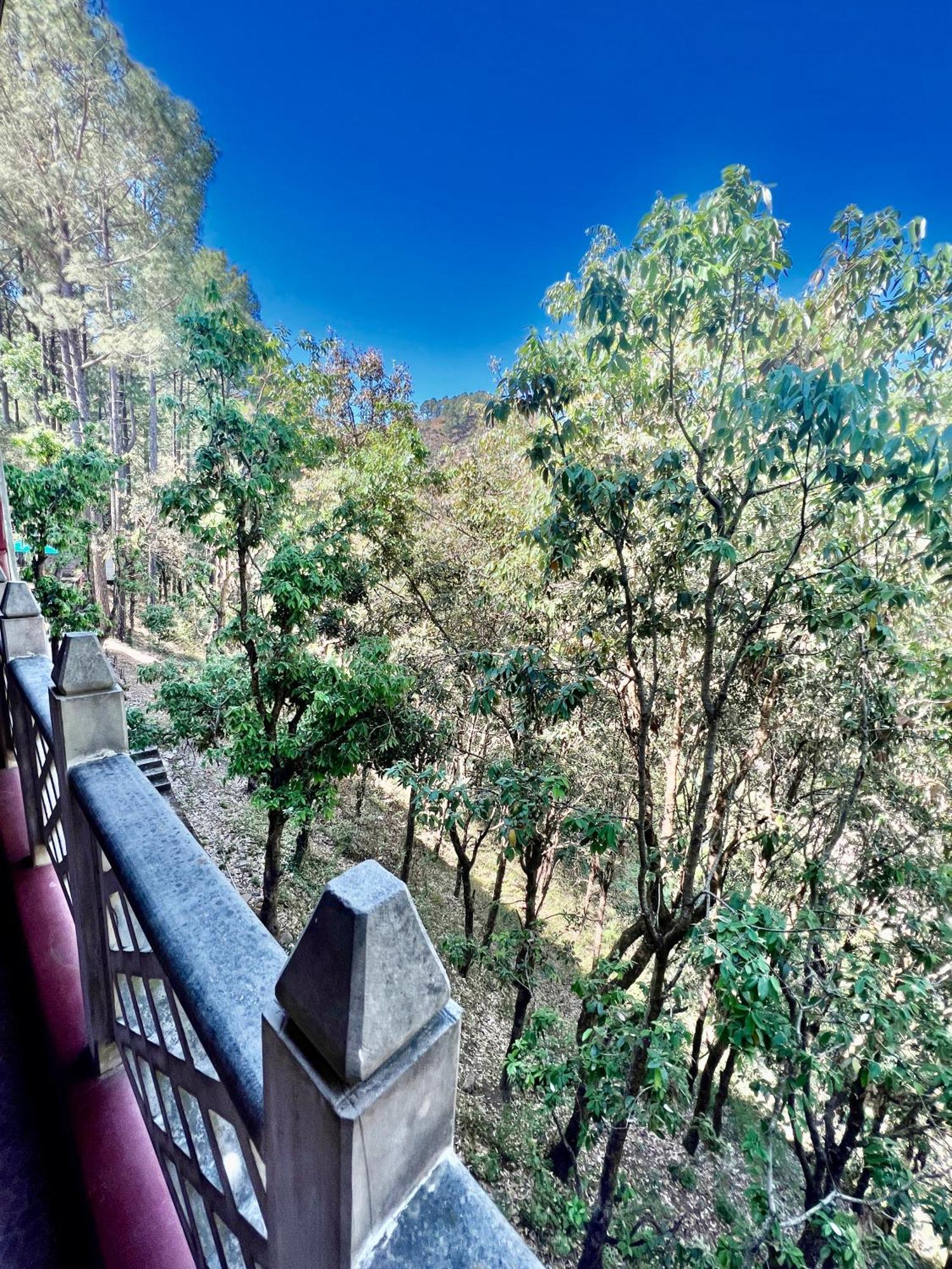 Sea Hawk - Luxury Hill Resort 4 Mins From Bhimtal Lake Exterior photo